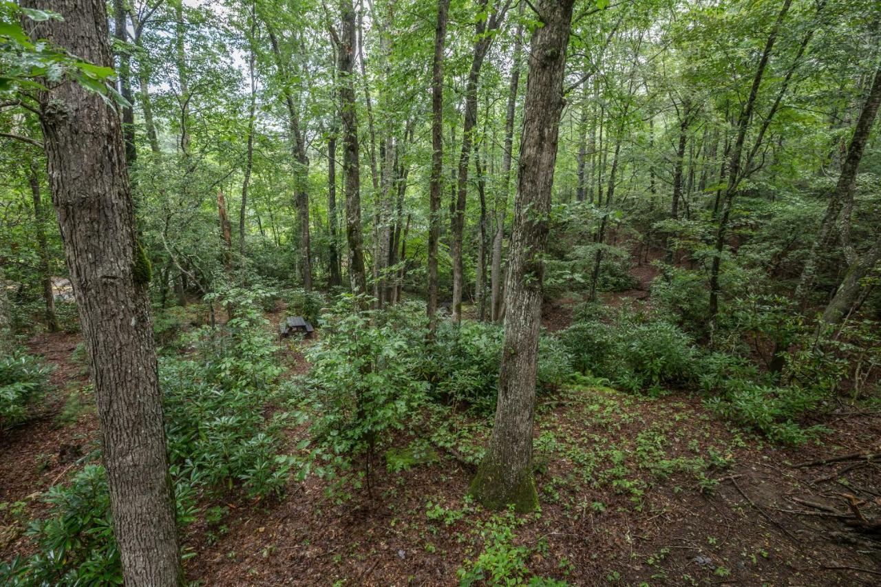 Springmaid Mountain Vila Spruce Pine Exterior foto