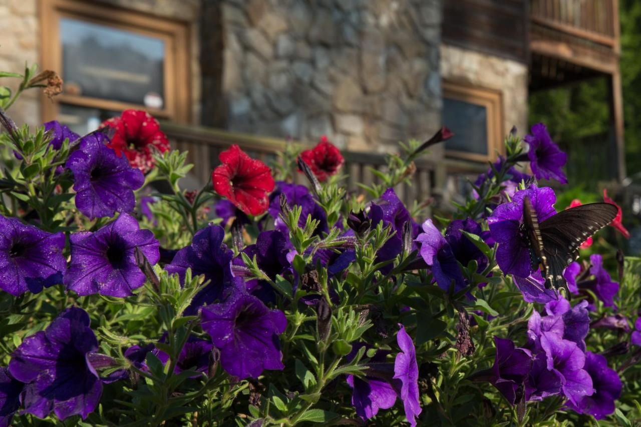 Springmaid Mountain Vila Spruce Pine Exterior foto
